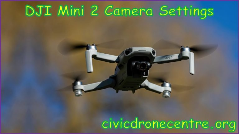 DJI Mini 2 Camera Settings | how to setup dji mini 2 | dji mini 2 photo resolution