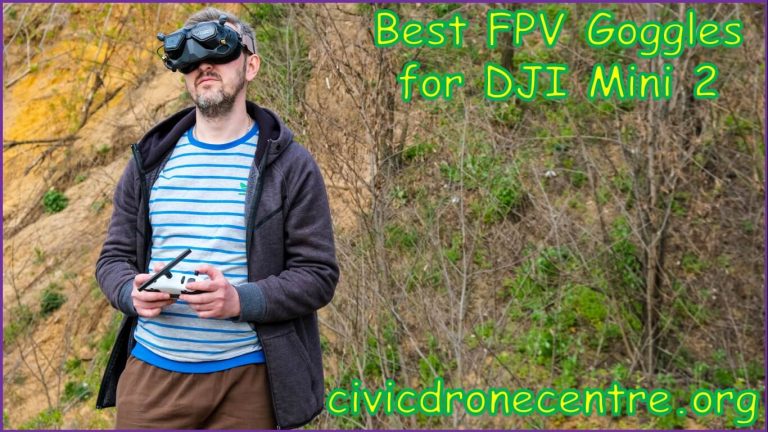 Best FPV Goggles for DJI Mini 2 | best dji mini 2 headset | dji mini 2 fpv goggles